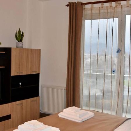 Pricop Residence Baia Mare Buitenkant foto