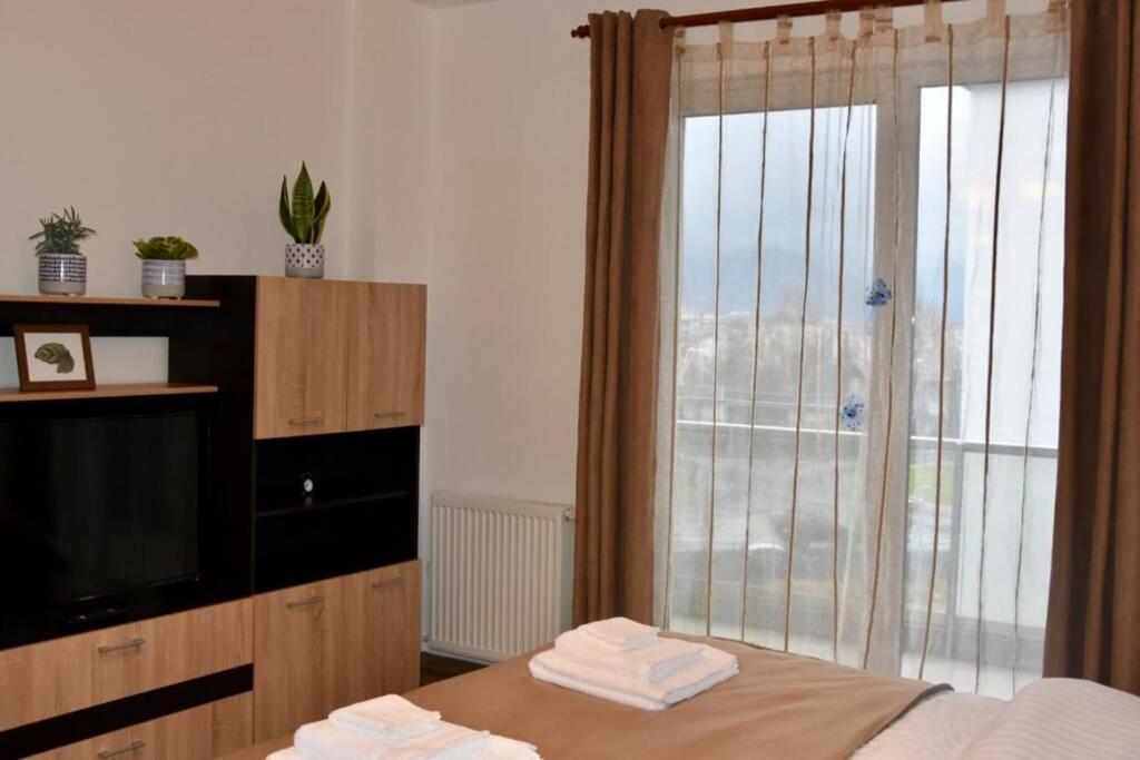 Pricop Residence Baia Mare Buitenkant foto