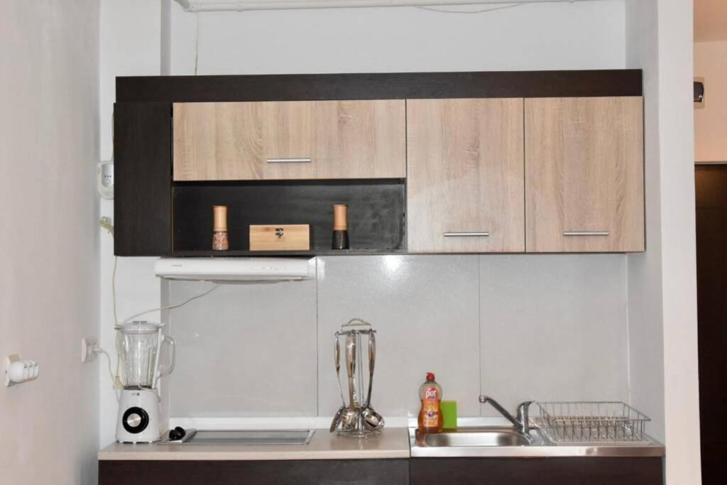 Pricop Residence Baia Mare Buitenkant foto