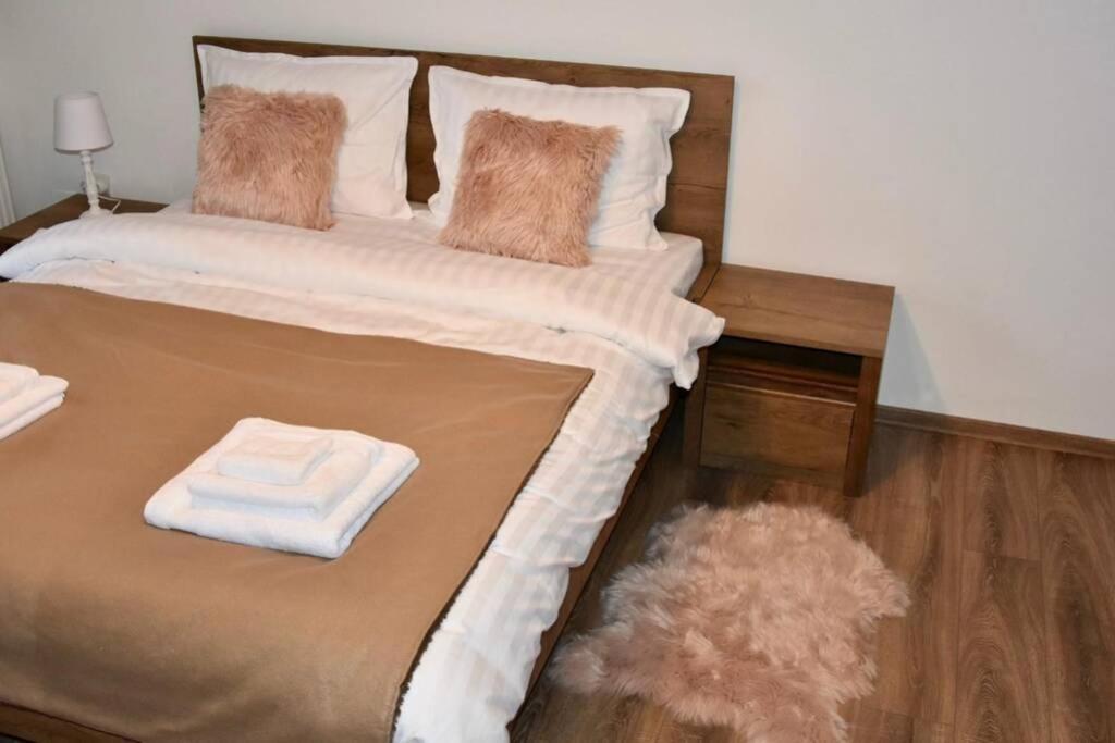 Pricop Residence Baia Mare Buitenkant foto