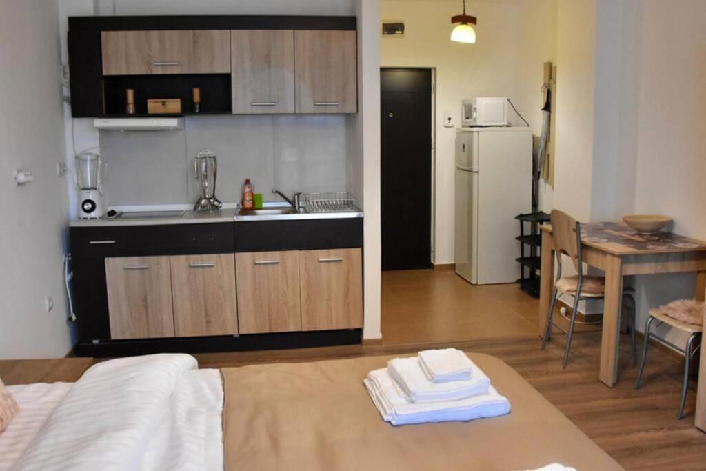 Pricop Residence Baia Mare Buitenkant foto